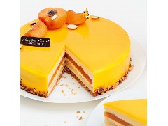 果香十足的杏桃蛋糕，酸酸甜甜！